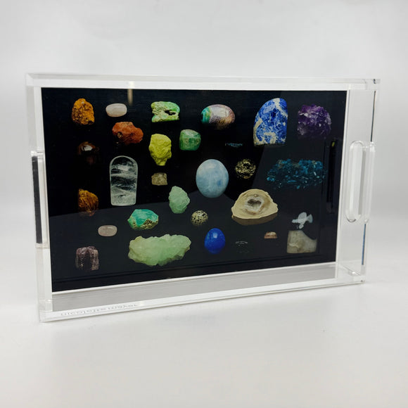 Curiosity Collection Tray by Nicolette Mayer